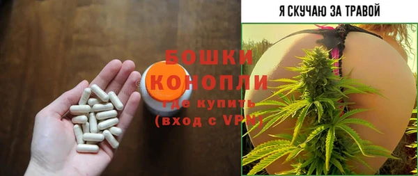 мяу мяу кристалл Алексин
